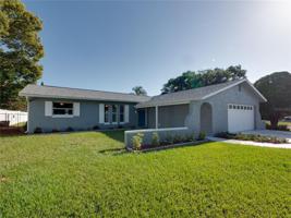 115 HOLLYHOCK
