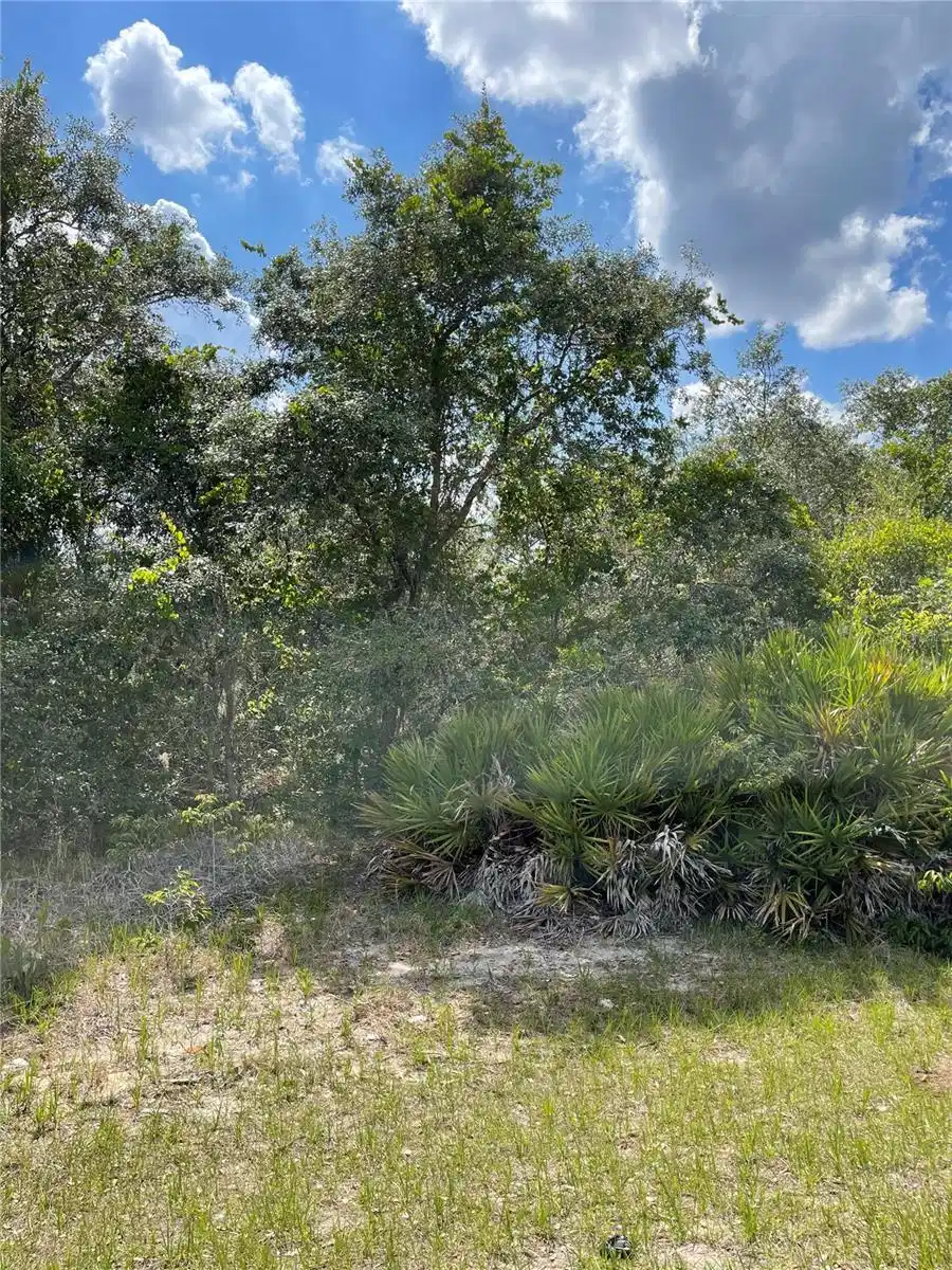 Image 1 Image 1