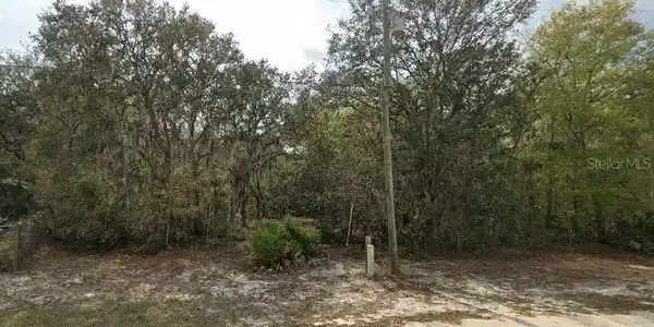 Image 3 Image 3