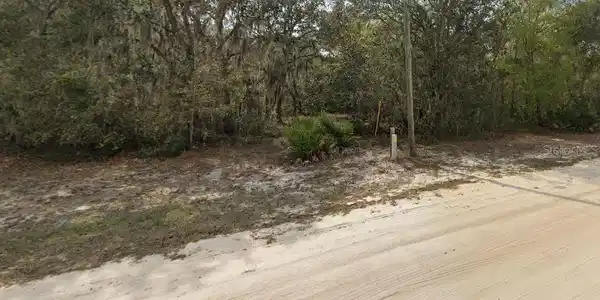 Image 4 Image 4