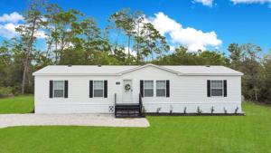45550 MAGNOLIA