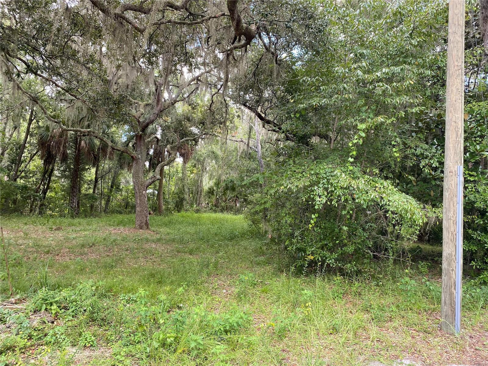 Image 1 Image 1