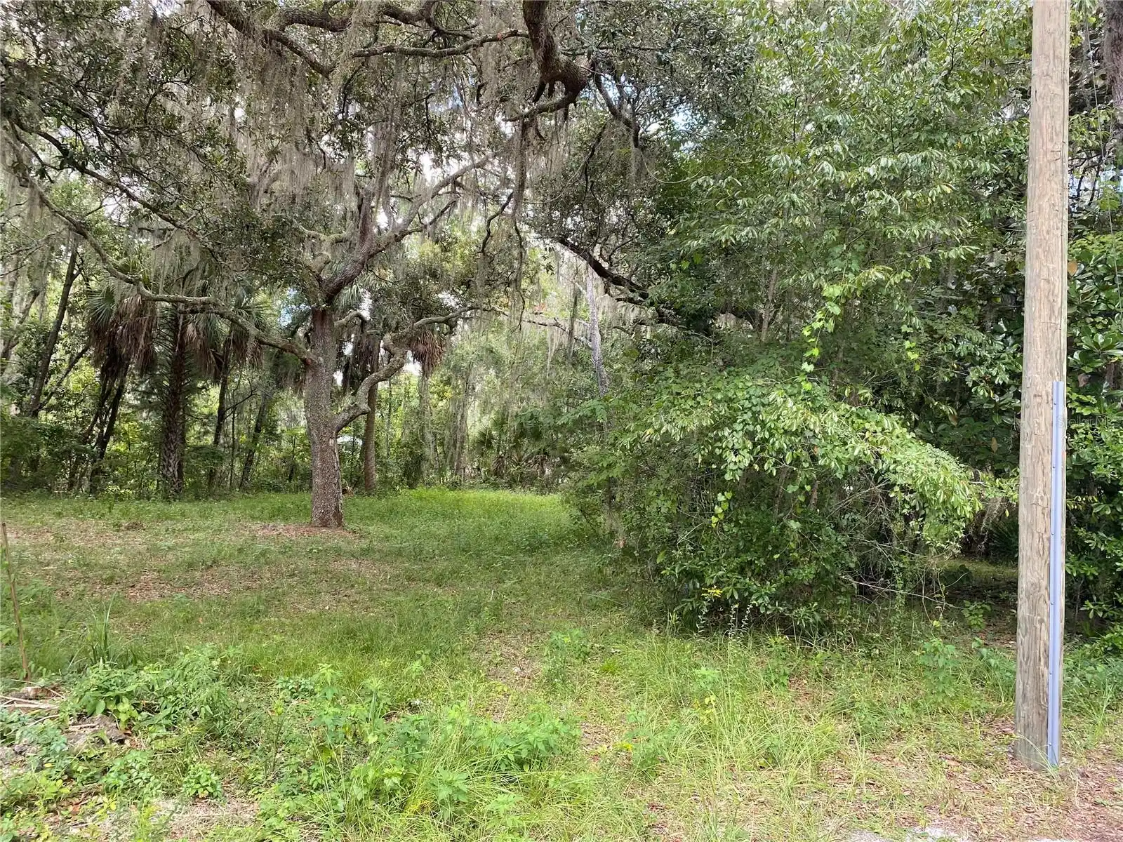 Image 1 Image 1