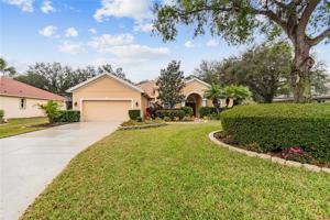 112 PARK TRACE