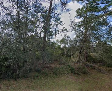 1335 ST AUGUSTINE COURT