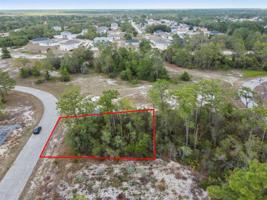 1315 HOMOSASSA