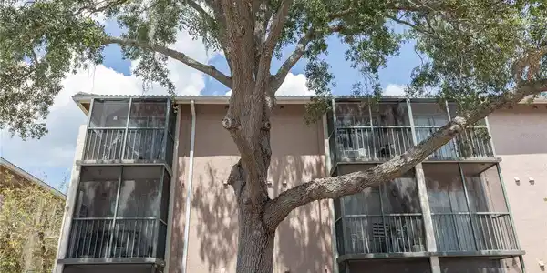 123 BLUE POINT