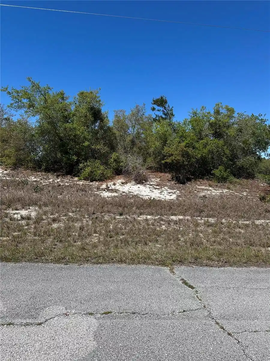Image 1 Image 1
