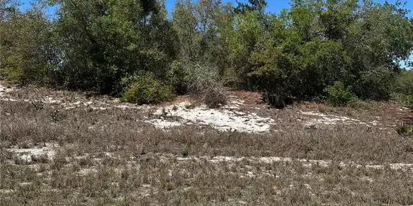 1386 HOMOSASSA DRIVE