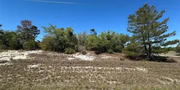 Image 3 Image 3