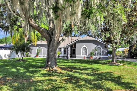 24 CYPRESS AVENUE