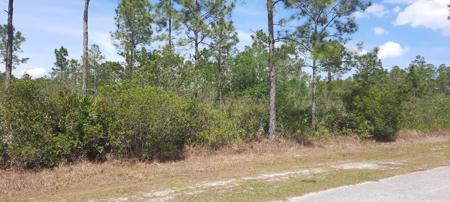 404 ALLAMANDA DRIVE