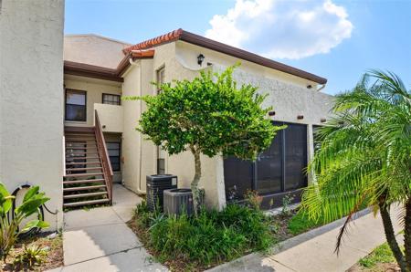 2595 CYPRUS DRIVE