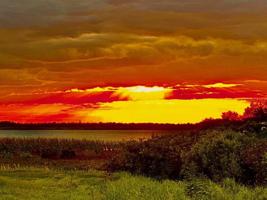 1680 SUNSET CLUB LANE/PINE ISLAND ROAD
