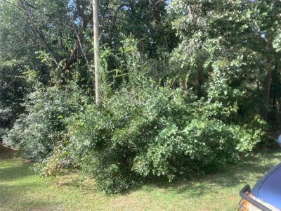 1370 HOMOSASSA DRIVE