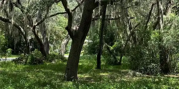 Image 4 Image 4