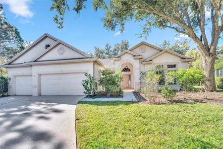 10218 SHADOW BRANCH DRIVE