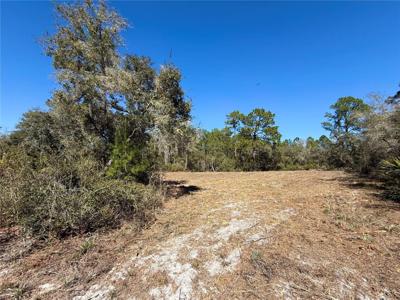 LOT 11 POINCIANA STREET