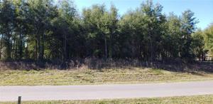 WOLF SPRINGS