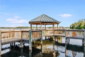 13427 BLUE HERON BEACH