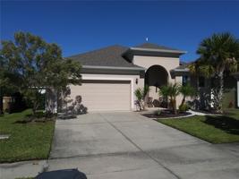 630 STAR MAGNOLIA