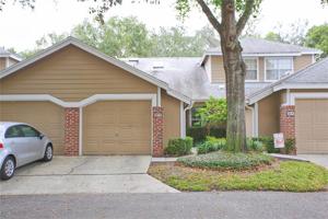 664 SCARLET OAK