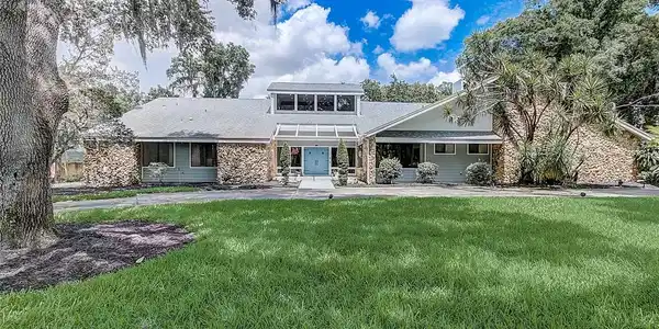 224 LIVE OAK