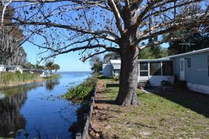 17431 RAINTREE