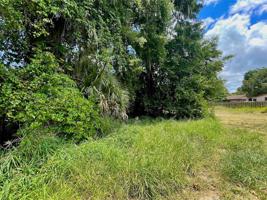 Lot 46 & 47 OCOEE APOPKA