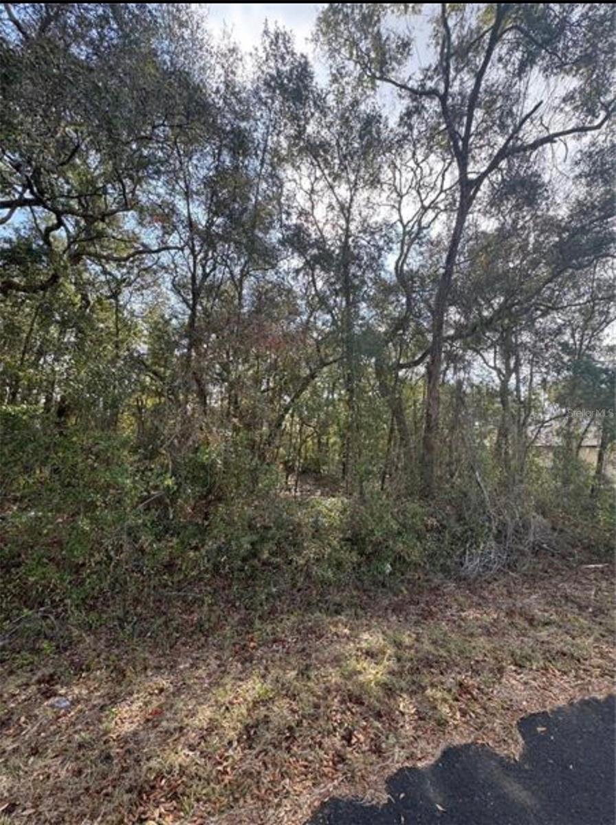 Image 1 Image 1