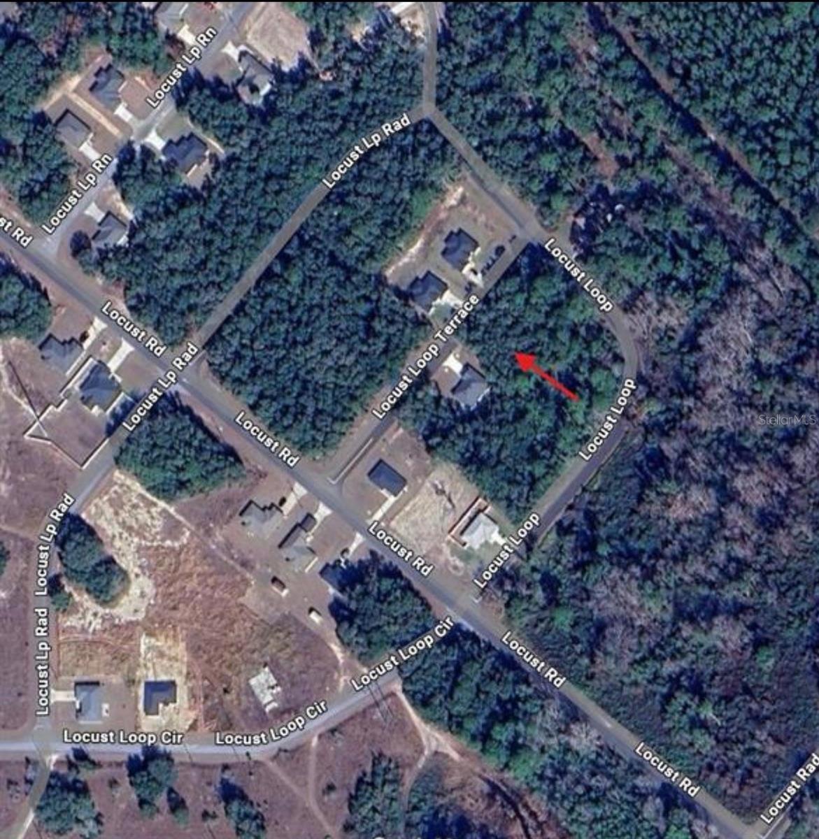 Image 4 Image 4