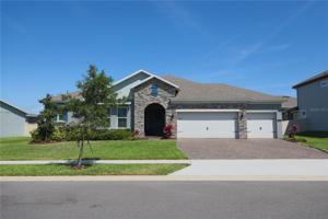 1674 JUNIPER HAMMOCK