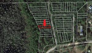 Lot 11 OREGON