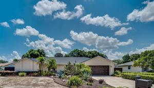 9370 PALM TREE