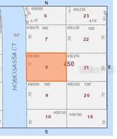 1313 HOMOSASSA
