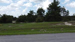 1380 HOMOSASSA