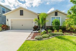 11142 SPRING POINT