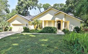 2405 TALL PINE