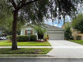 8711 MCCORMACK MCRAE