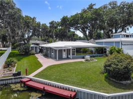 14 LIVE OAK