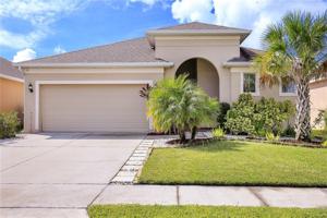 762 STAR MAGNOLIA