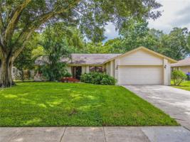 9401 PALM TREE