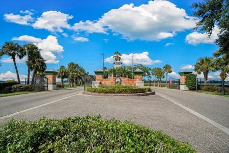 LIVE OAK DRIVE