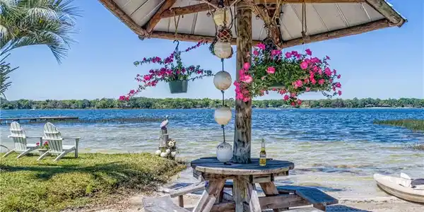 33611 LAKE JOANNA