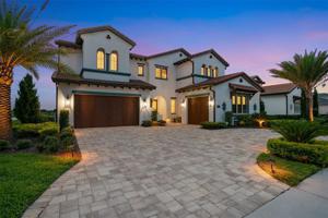 15687 PANTHER LAKE