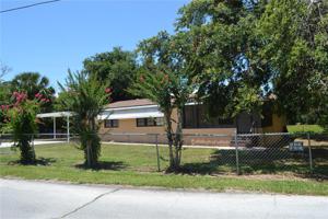 16746 SUGARBERRY