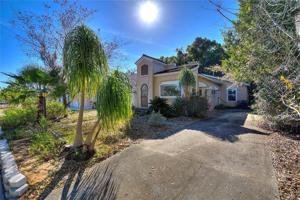 518 PALM
