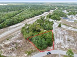 1329 HOMOSASSA