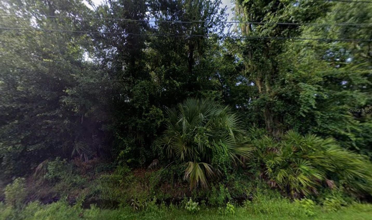 Image 1 Image 1