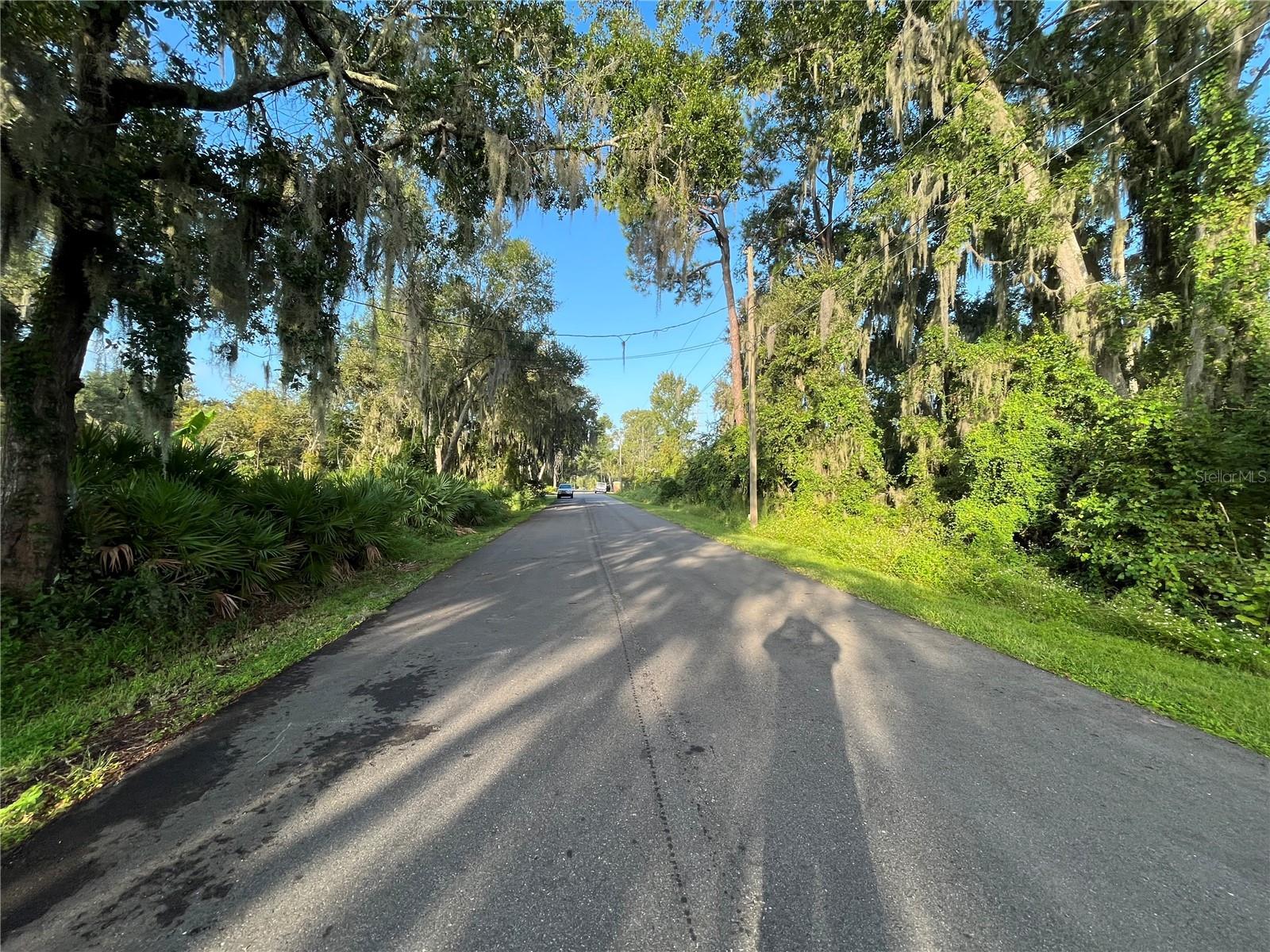 Image 3 Image 3